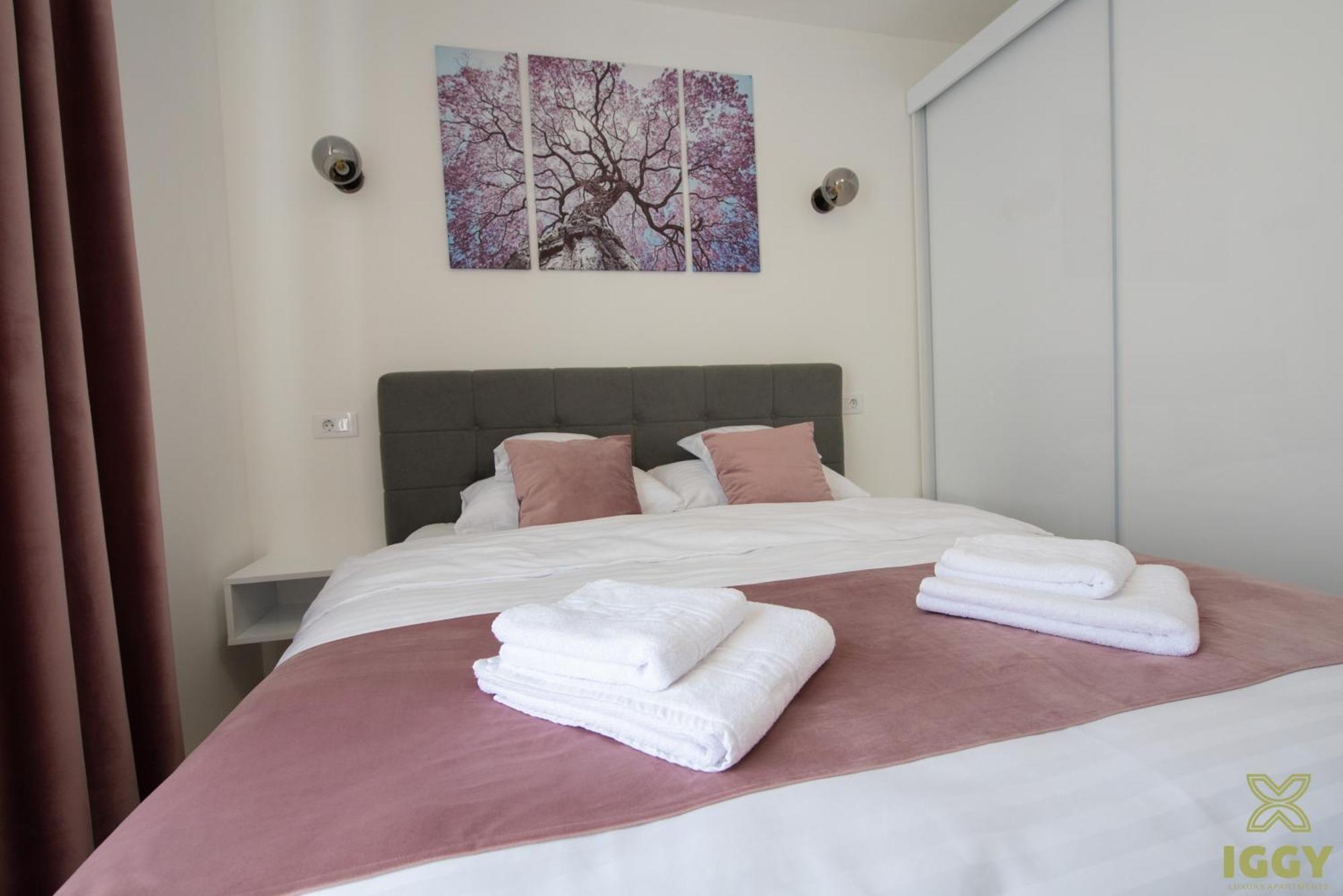 Apartment Iggy Premium Hunedoara
