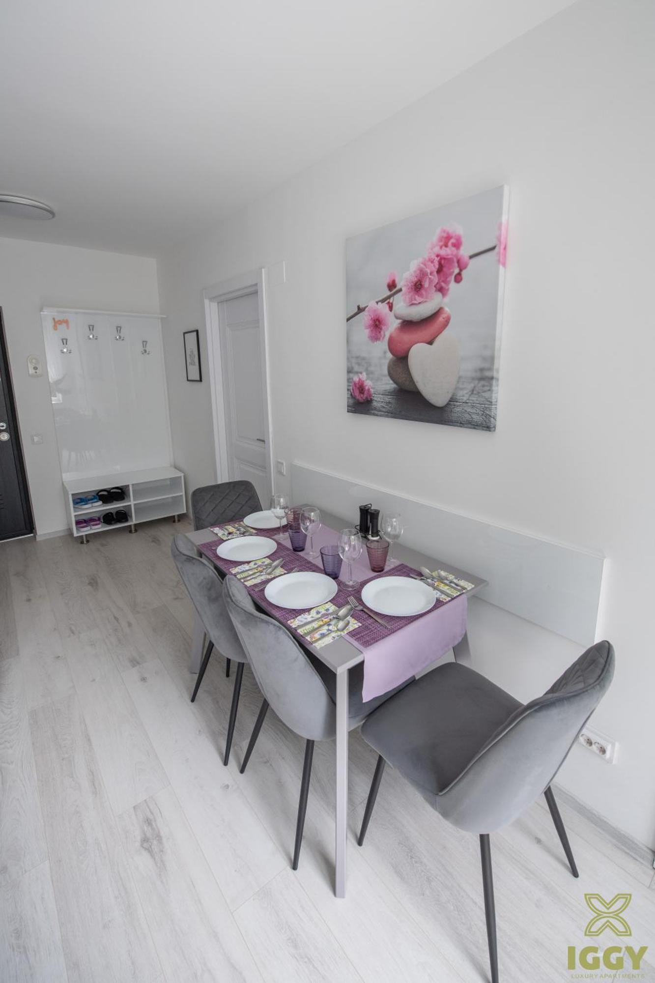 Iggy Premium Apartment Hunedoara