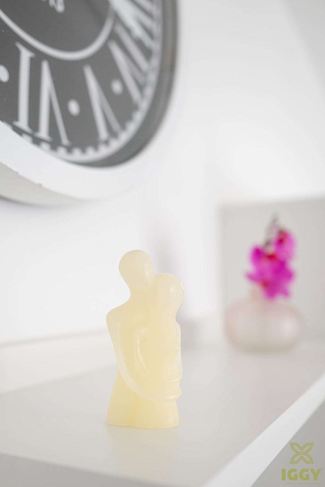 Iggy Premium Apartment Hunedoara
