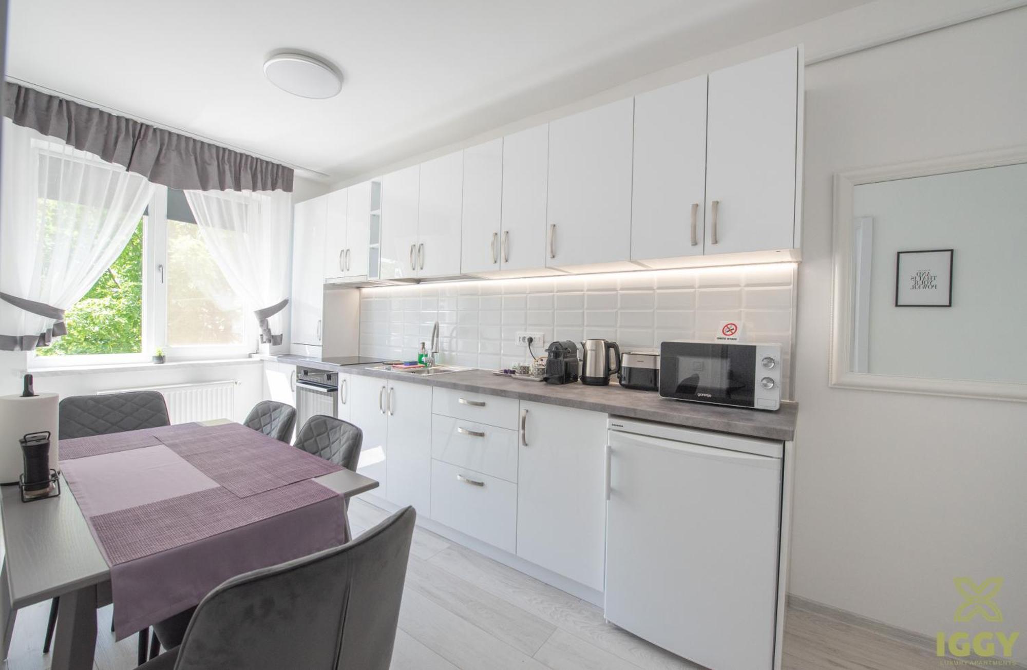 Apartment Iggy Premium Hunedoara